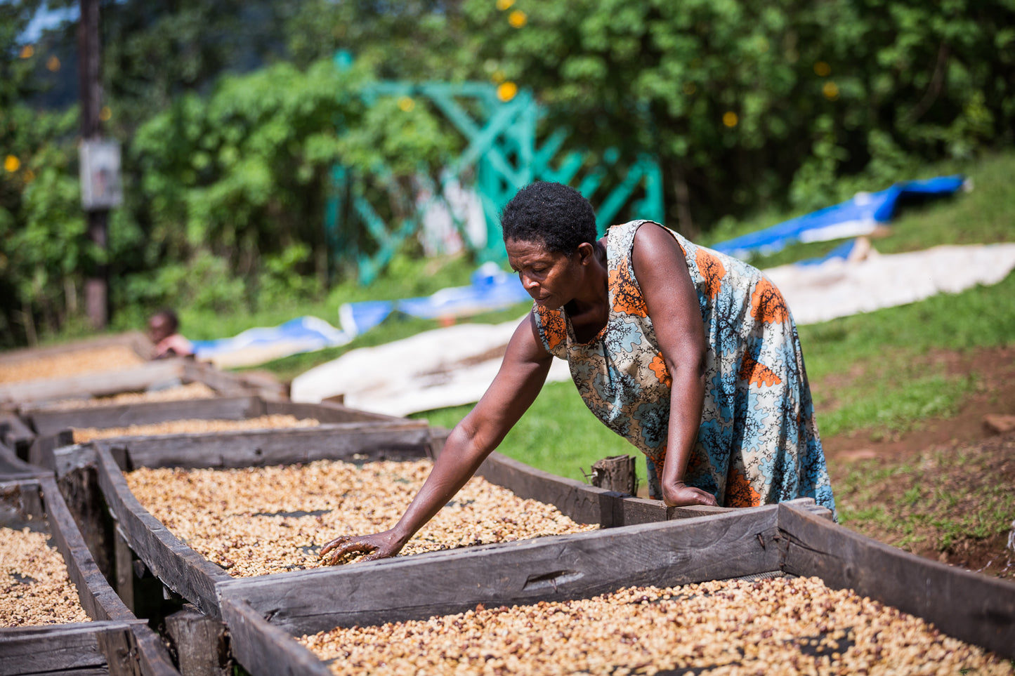 #KanyonyiCoffee (Ground). Single origin, 100% Arabica